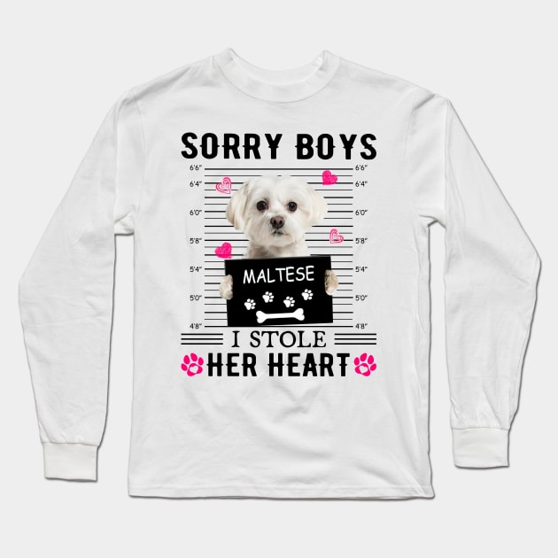 White Maltese Sorry Boys I Stole Her Heart Valentine's Day Long Sleeve T-Shirt by PlumleelaurineArt